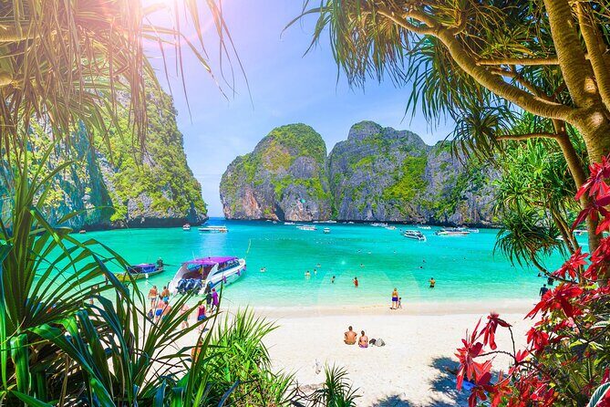 Premium Phi Phi, bamboo island tour Speed Catamaran - The Practical Side: Value and Considerations