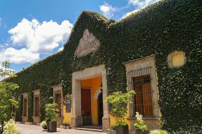 Premium Plus Sunset - Free Time in Tequila: Food, Shops, and Local Flavor