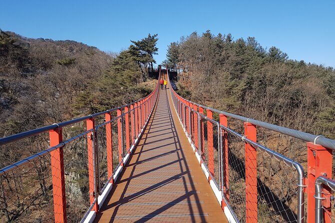 Premium Private DMZ Tour & (Suspension Bridge or N-Tower) include lunch - A Deep Dive into the Itinerary