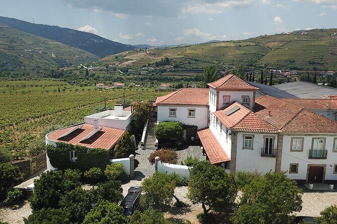 Premium Private Douro Tour: 2 Wineries with Tastings & Cruise - Is This Tour Worth It? Our Take