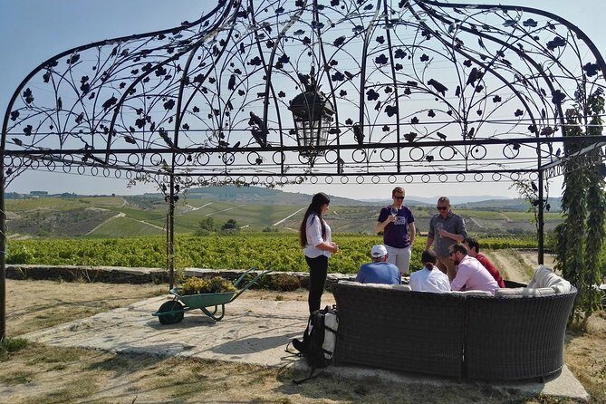 Premium Private Douro Tour: 3 Wineries with Tastings & Lunch - Exploring the Douro Valley: What to Expect