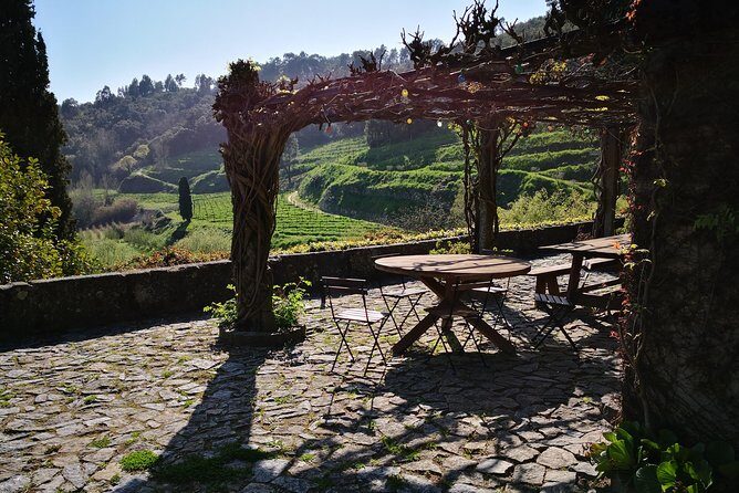 Premium Private Douro & Vinho Verde Tour: Wine Tastings & Lunch - An In-Depth Look at the Tour Experience