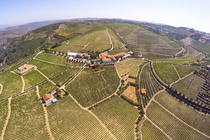 Premium Private Douro & Vinho Verde Tour: Wine Tastings & Lunch - FAQ