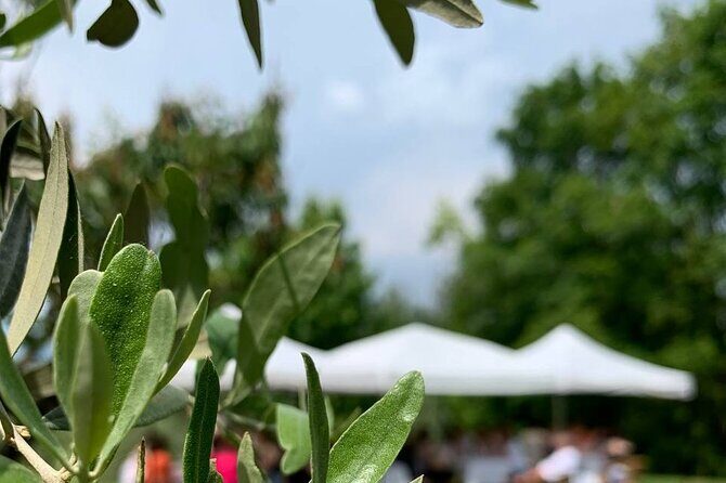 Premium Private Prosecco Hills Tour - 2 Wineries. Private tour. - FAQ