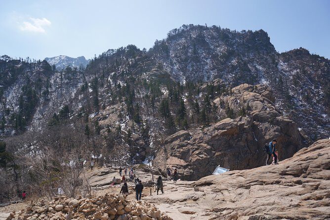 [Premium Private Tour] Mt Seorak & East Sea or Nami island from Seoul - Who Should Consider This Tour?