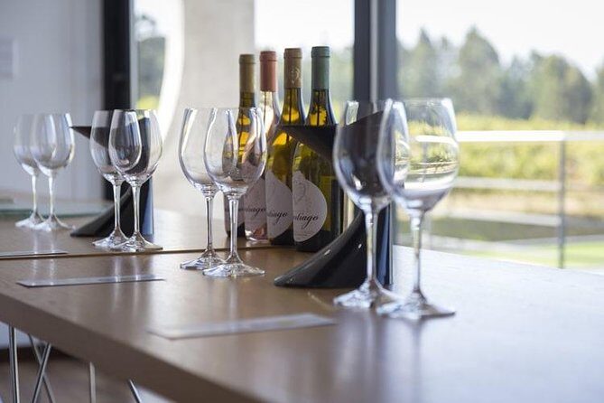 Premium Private Vinho Verde Tour:3 Wineries with Tastings & Lunch - Potential Drawbacks and Tips