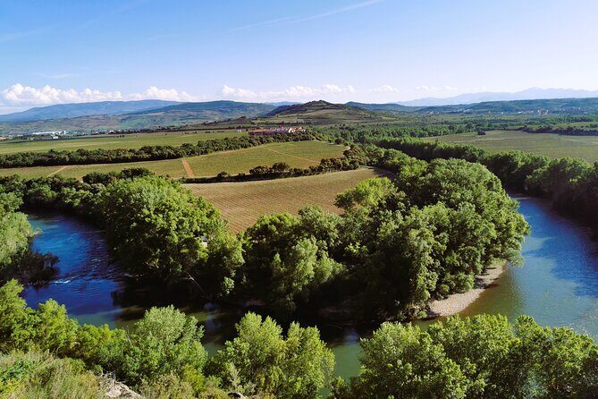 Premium Ribera del Duero tour with winemaker-guide - Key Points