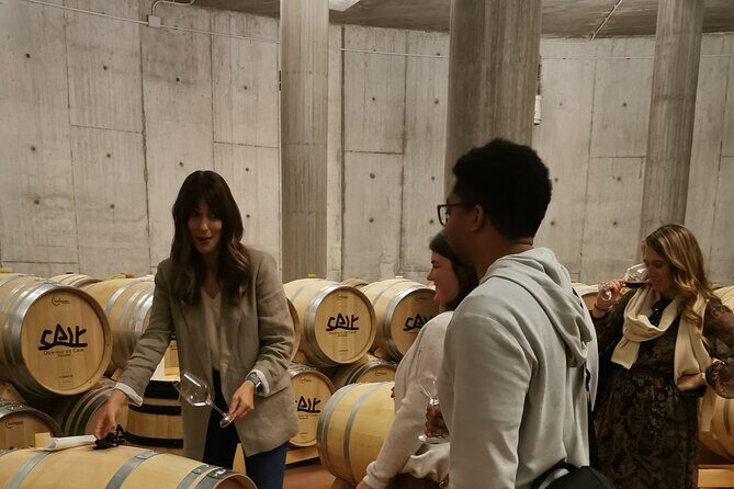 Premium Ribera del Duero tour with winemaker-guide - The Sum Up