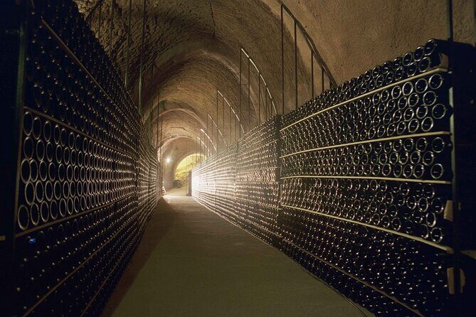 Premium Ribera del Duero tour with winemaker-guide - FAQ