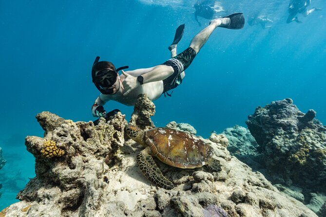 Premium Sea Scooter Turtle Adventure - Final Thoughts