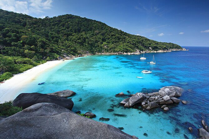 Premium Similan Island Day Trip with lunch and transfer pick up - Key Points
