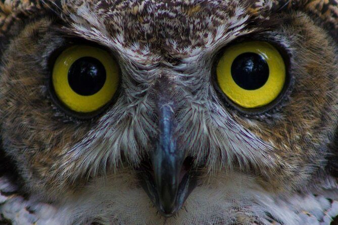 PREMIUM Sitka Scenic Tour - Visiting Silver Bay: A Scenic Drive with Wildlife Opportunities