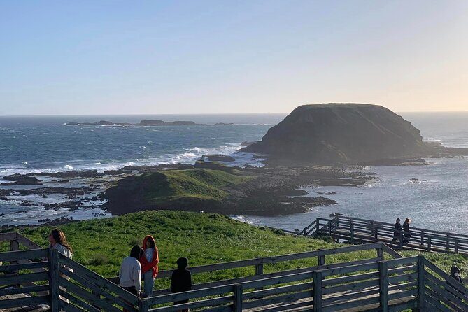 Premium Small Group Philip Island eco Tour - FAQs