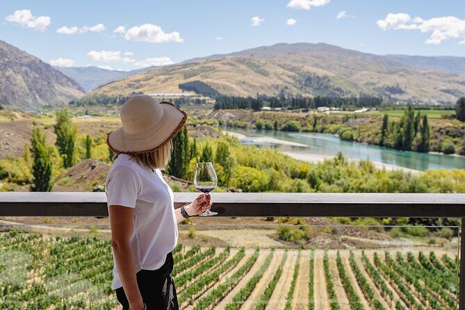 Premium Small-Group Wine Tour, 4 Wineries, Lunch from Queenstown - Who Should Consider This Tour?