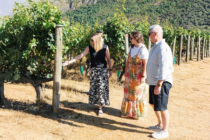 Premium Small-Group Wine Tour, 4 Wineries, Lunch from Queenstown - FAQs