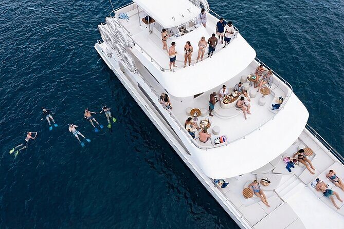 Premium Snorkel Catamaran Cruise in Los Cabos - Key Points