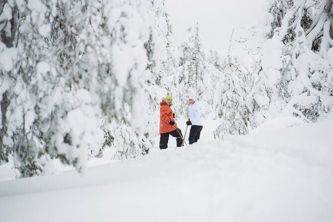 Premium Snowshoeing in Pyhä-Luosto National Park - The Sum Up