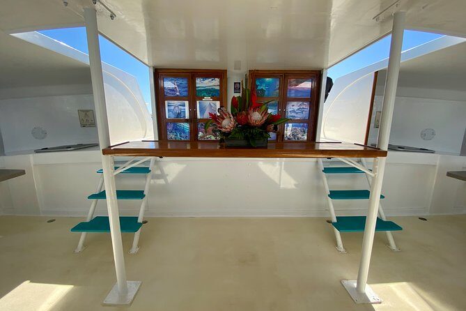 Premium Sunset Dinner Cruise from Kaanapali Beach - The Sum Up