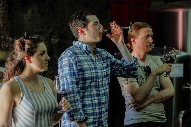 PREMIUM TASTING and TAPAS with GUIDED TOUR - Exploring Quinta do Beijo: An Authentic Portuguese Winery Visit