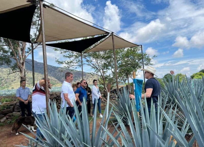 Premium Tequila Route with a professional tasting - FAQ