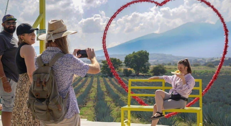 Premium Tequila Route with professional tasting - Who This Tour Is Perfect For