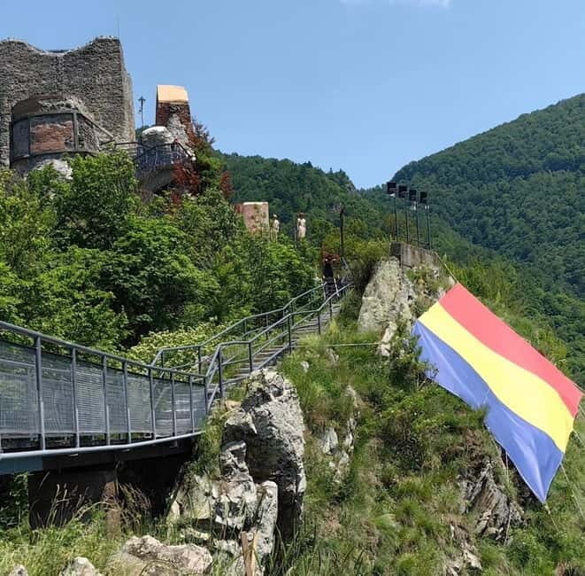 PREMIUM TOUR: Bears Safari on Transfagarasan Road - Key Points