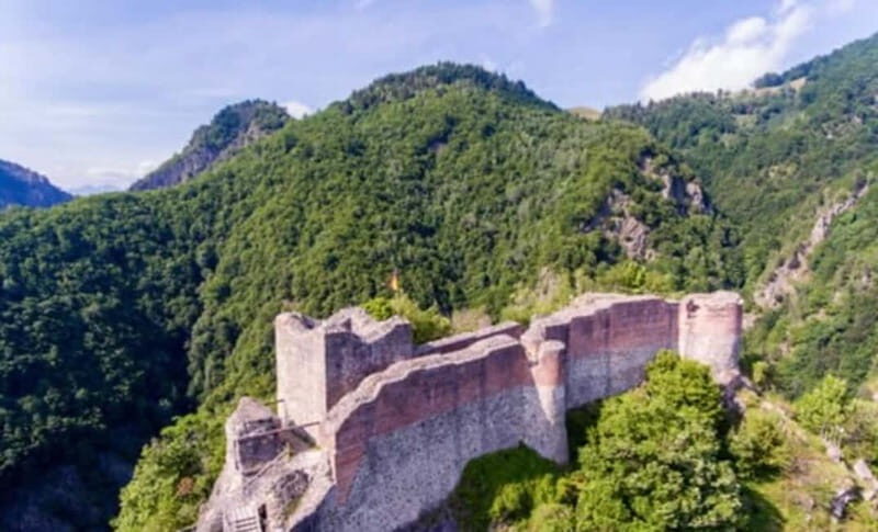PREMIUM TOUR: Bears Safari on Transfagarasan Road - Why You Should Consider This Tour