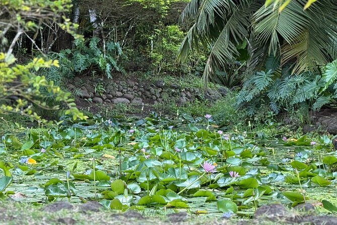 Premium Tour DE Tahiti, EN Half Day Privatised - Key Points