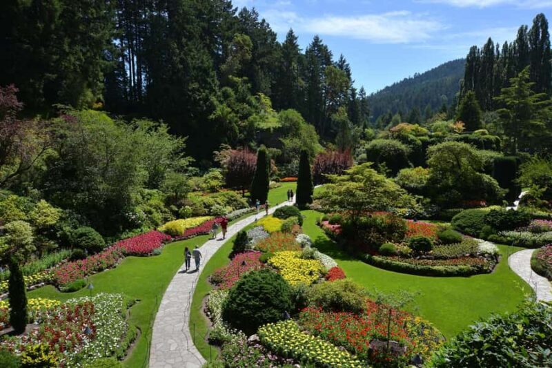 Premium Tour: Experience Victoria & Butchart Gardens - Key Points