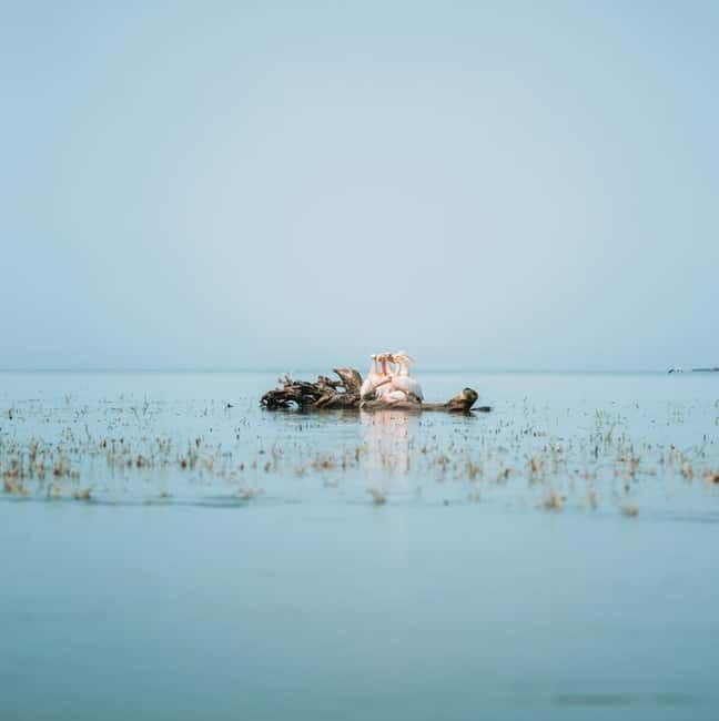 PREMIUM TOUR SMALL GROUP Bucharest-The Heart of Danube Delta - What Makes This Tour Special?