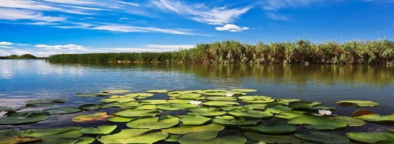 PREMIUM TOUR SMALL GROUP From Bucharest to the Danube Delta - The Details: Breaking Down the Experience