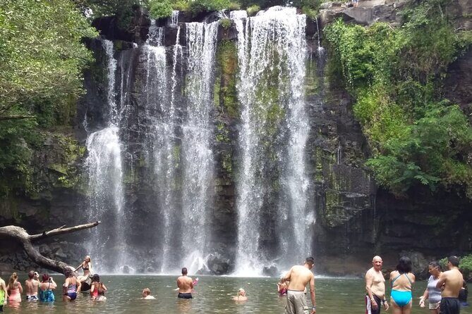 Premium Tour:Sloths and Río Celeste y Cortez Waterfalls (Tenorio Volcano Park) - Value and Overall Impression