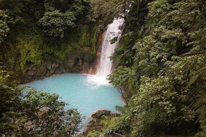 Premium Tour:Sloths and Río Celeste y Cortez Waterfalls (Tenorio Volcano Park) - FAQ