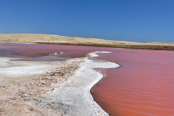 Premium Trekking Golden Shades - Key Points