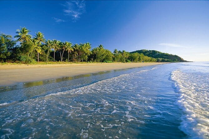Premium Van, Private Transfer, Cairns Airport - Port Douglas. - Final Thoughts: Who Should Consider This Transfer?