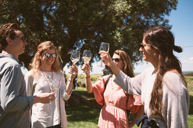 Premium Vineyard Tour & Tasting - A Closer Look at the Premium Vineyard Tour & Tasting in Albufeira
