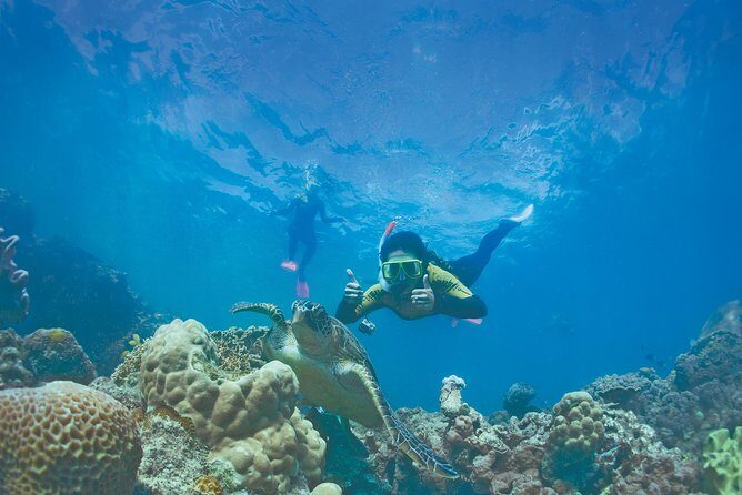 Premium Whitsunday Islands Sail, SUP & Snorkel Tour - Who Will Love This Tour?
