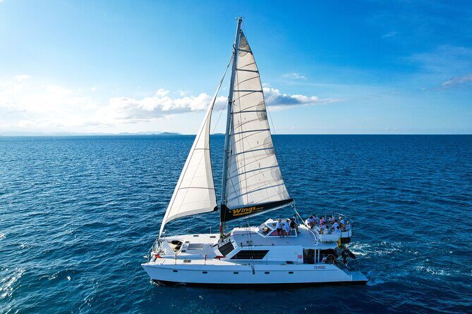 Premium Whitsunday Islands Sail, SUP & Snorkel Tour - Practical Tips