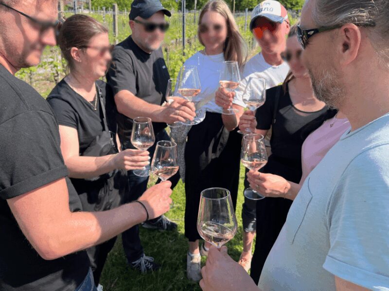Premium wine hike Stuttgart with games and winemaker's snack - Deep Dive into the Itinerary