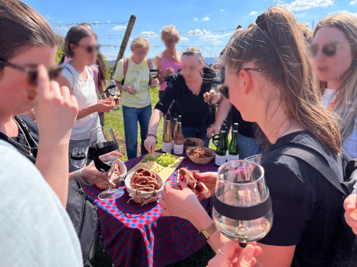 Premium wine hike Stuttgart with games and winemaker's snack - Why This Tour Stands Out