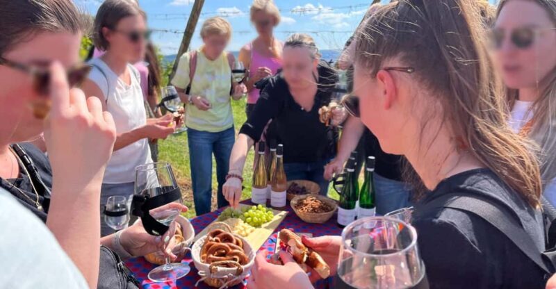 Premium wine hike Stuttgart with games and winemaker's snack - Who Should Consider This Experience?