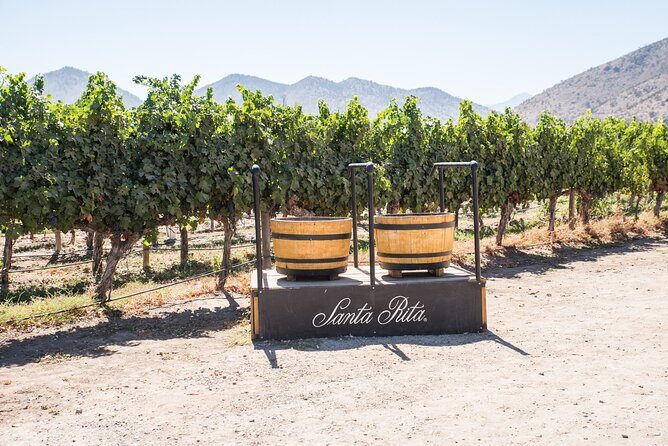 Premium Wine Tasting and Tour at Santa Rita + Private Transport - An In-Depth Look at the Santa Rita Tour