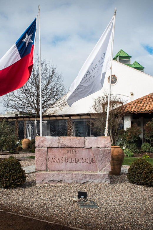 Premium Wine Tasting at Casas del Bosque + Private Transport - Key Points