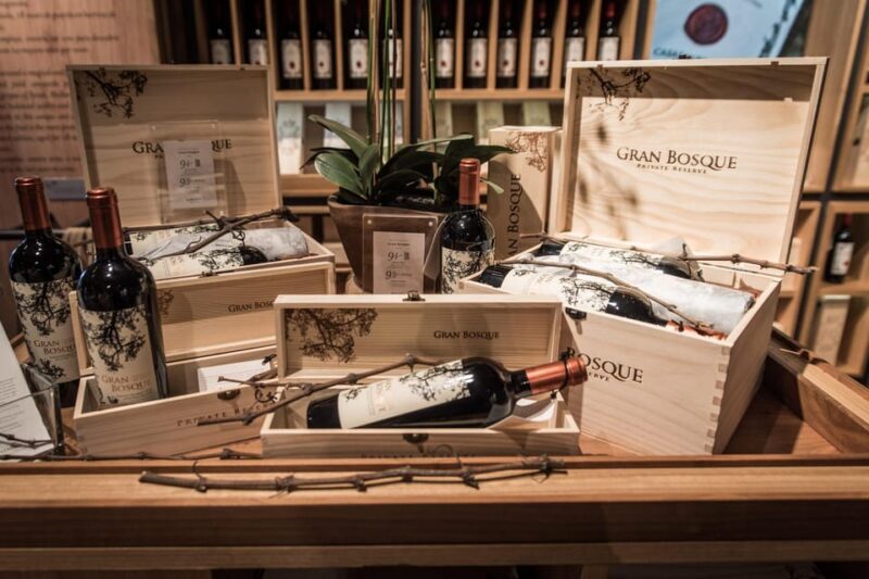 Premium Wine Tasting at Casas del Bosque + Private Transport - Final Thoughts