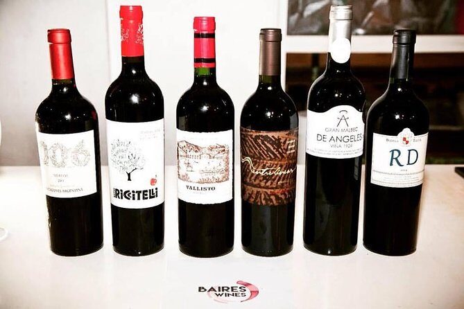 Premium Wine Tasting in Buenos Aires - Key Points