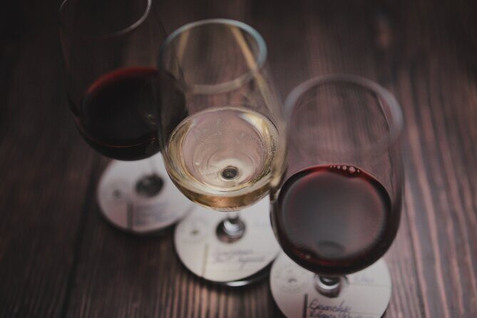 Premium Wine Tasting in Santiago de Chile - FAQ