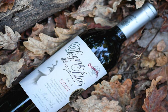 "Premium Wine Tour" Viña Cousiño Macul Official english - Final Thoughts: Is It Worth It?