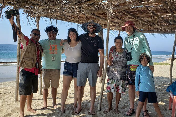 Preserving Baby Sea Turtles And Filling You With Energy In Bioluminescent Lights - Key Points