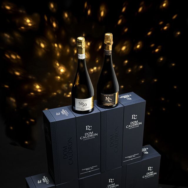 Prestige Champagne Experience - Passy-Grigny - Detailed Breakdown of the Tour