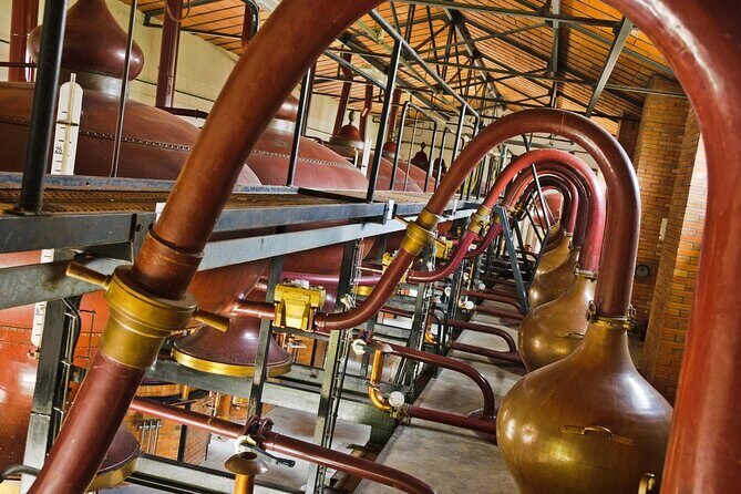 Prestige Tour and Cognac Tasting - Exploring the Heart of a Family Cognac House